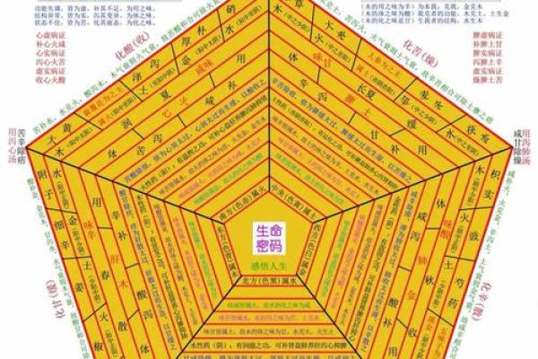 汤字五行属什么？揭秘汤字的五行属性