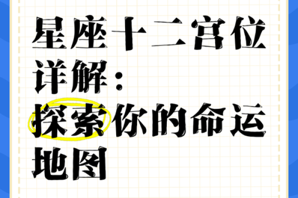 十二星座被刀，揭秘命运背后的秘密