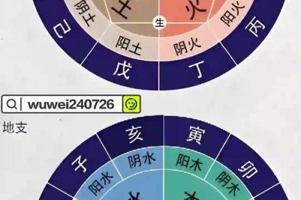 天干地支的关系解析，打开命理大门