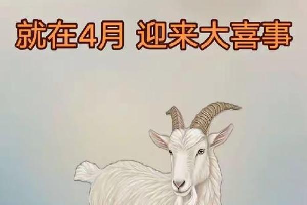 1879年属羊的人运势揭秘：财运亨通，福星高照