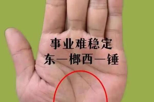 手相奥秘揭秘：无事业线也能成就辉煌人生