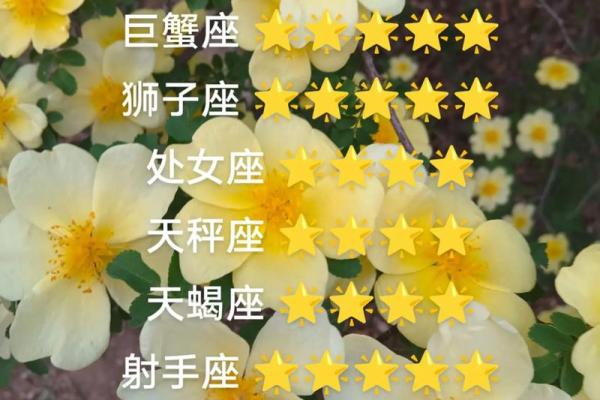 2017年星座运势大揭秘：哪个星座今年最旺？