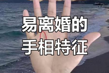 一握手相，未来婚姻幸福指数一目了然