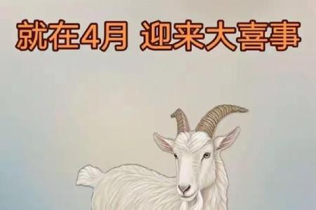 1879年属羊的人运势揭秘：财运亨通，福星高照