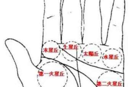 揭秘手相中的铁定发大横财标志一招助你财运亨通