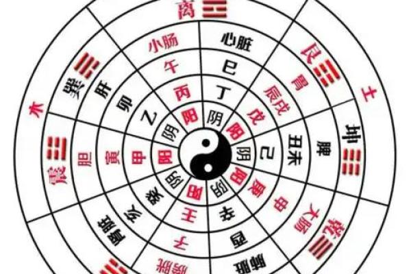 细看八字与面相，揭开你命运的神秘面纱