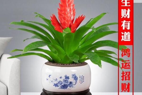 客厅风水秘籍：打造旺家好运势的五大关键要素