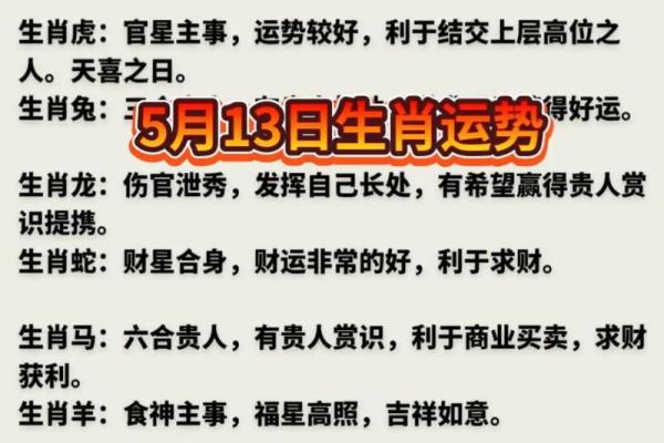 十二生肖今日运势大揭秘：开什么最旺财？