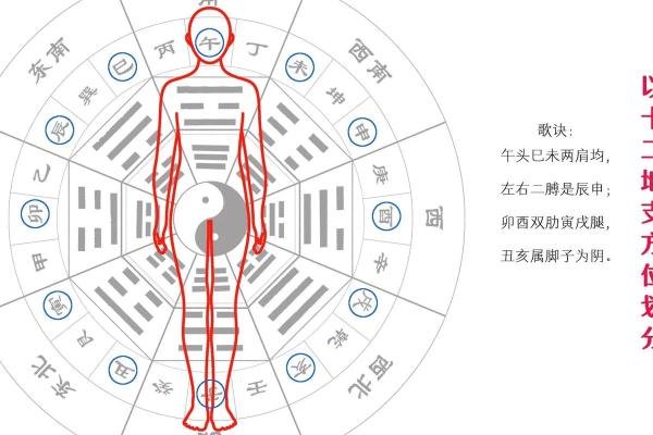 十二支天干大揭秘：运势走向早知道