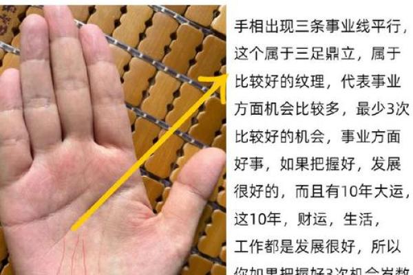 手相揭秘：揭秘你的事业线，看命运如何指引成功之路