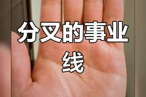 手相揭秘：揭秘你的事业线，看命运如何指引成功之路