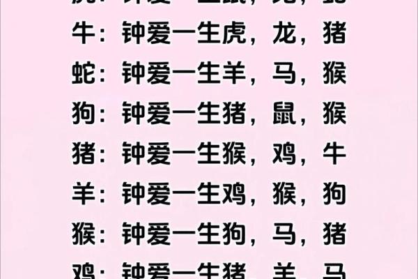 生肖配对秘籍:找出你的最佳拍档生肖 生肖配对秘籍:找出你的最佳拍档生肖