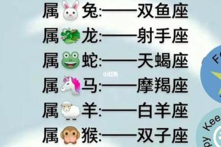 十二生肖星座配对秘籍，速来查收你的最佳伴侣