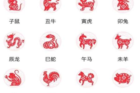 属虎人必看揭秘春节的生肖习俗与趣味