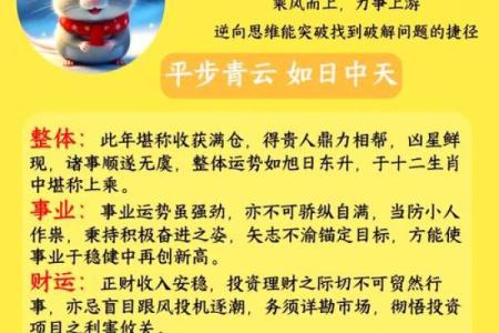 鼠年旺鸡，财运亨通，2024年必看生肖运势大揭秘