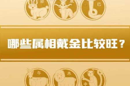 十二生肖今日运势大揭秘：开什么最旺财？