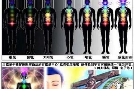 人体能量场与命理学的完美结合，掌握命运的密码