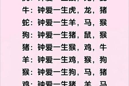 生肖配对秘籍：找出你的最佳拍档生肖