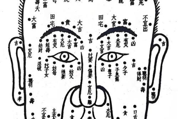 全身痣相图解，揭秘健康与运势的秘密