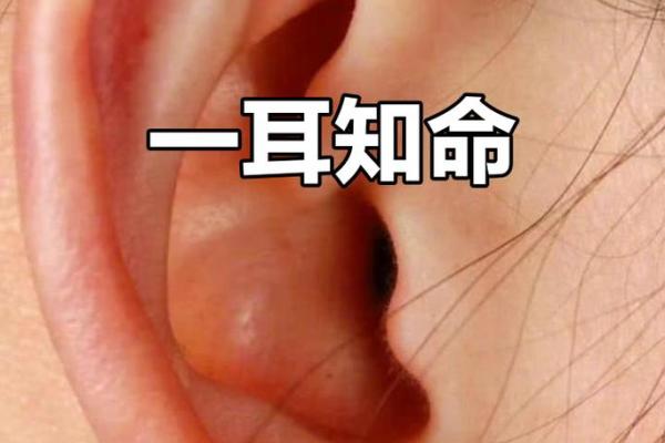 耳朵靠面相，揭秘命运财运的神秘密码