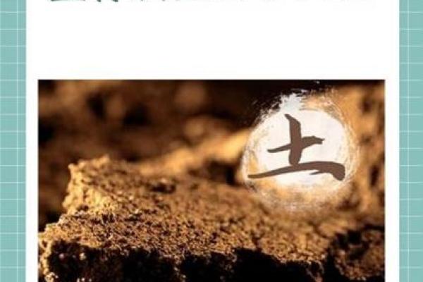 伟字五行解析:深度解读对命运的影响 伟字五行解析:深度解读对命运的影响