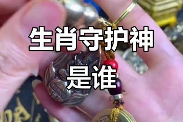 十二生肖辨打大揭秘:谁是你的生肖守护神? 十二生肖辨打大揭秘:谁是你的生肖守护神?