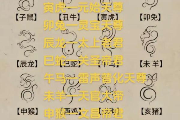 十二生肖辨打大揭秘:谁是你的生肖守护神? 十二生肖辨打大揭秘:谁是你的生肖守护神?