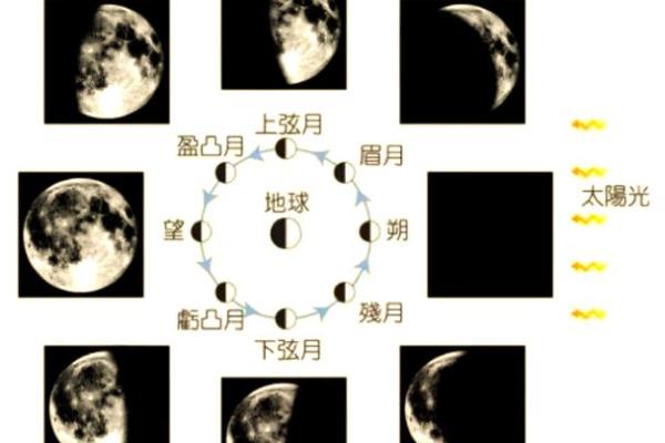 盈字五行属什么 深度解析揭示背后的奥秘 盈字五行属什么 深度解析揭示背后的奥秘