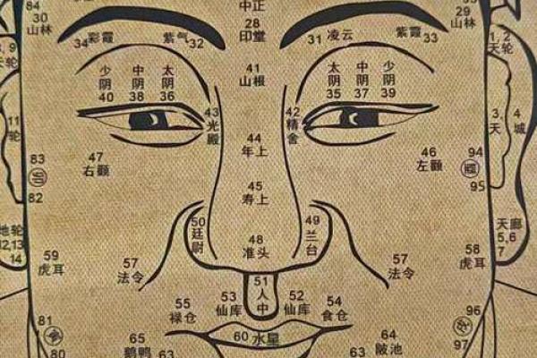 面相揭秘：一眼识破命运好坏，痴视面相，揭秘你的运势密码