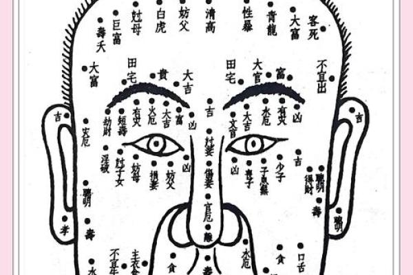 下巴秘密：揭秘运势财运的面相密码