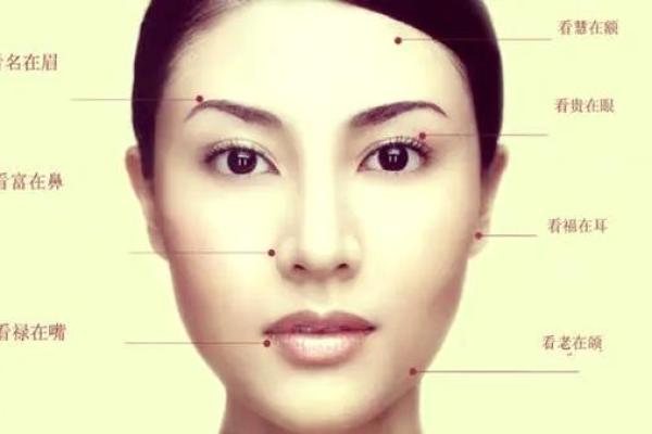 下巴秘密：揭秘运势财运的面相密码