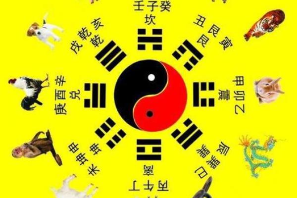 浠字五行解析:到底属于什么元素? 浠字五行解析:到底属于什么元素?