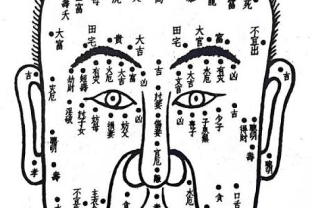 全身痣相图解，揭秘健康与运势的秘密