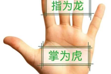 手相揭秘：虎口部位暗示着你的人生运势，错过必后悔