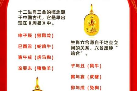 蛇属相大揭秘：揭秘最适合你的另一半