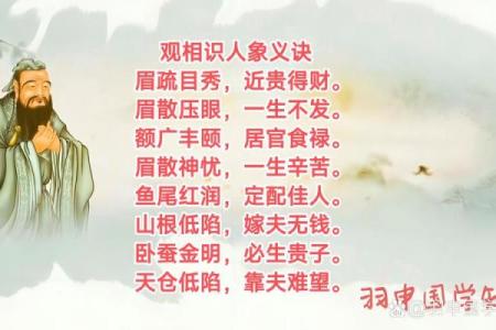 面相揭秘：一眼识破命运好坏，痴视面相，揭秘你的运势密码