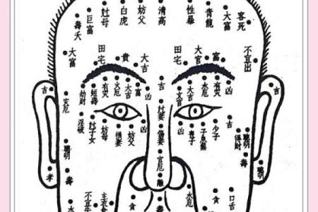 下巴秘密：揭秘运势财运的面相密码