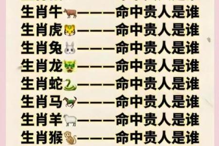 十二生肖面相揭秘：揭秘你的命运密码