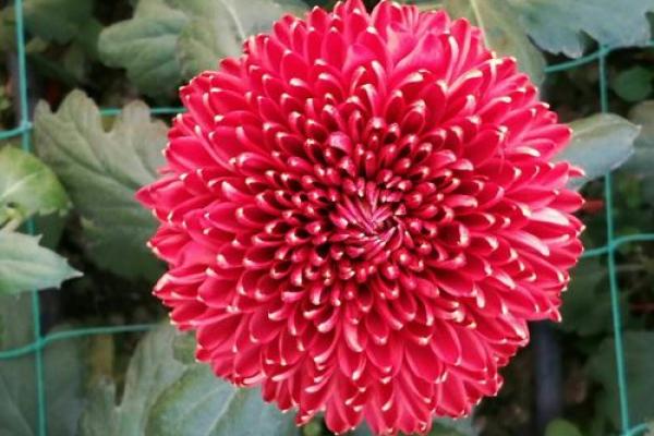 想知道起名字花费多少？这里告诉你答案！