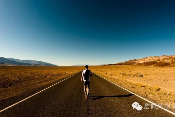 台湾大选风云变幻：命理学为你预测未来赢家