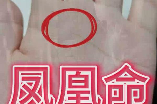 揭秘：凤尾纹手相女人运势大解析，手相奥秘一网打尽