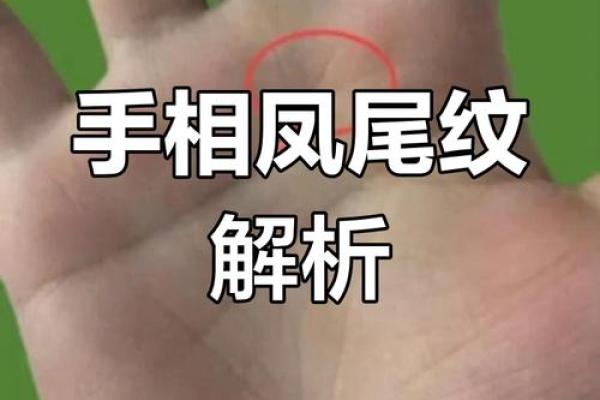 揭秘：凤尾纹手相女人运势大解析，手相奥秘一网打尽