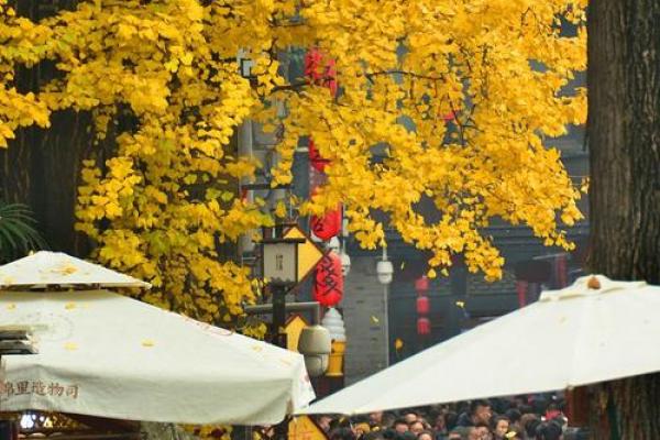 穿越千年,馄饨节:一场民俗盛宴的味蕾之旅 穿越千年,馄饨节:一场民俗盛宴的味蕾之旅