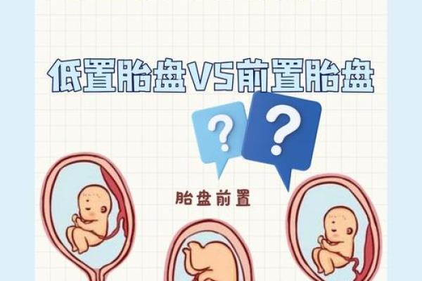 孕妇禁忌:揭秘风水对胎盘的影响,这些禁忌你了解吗? 孕妇禁忌:揭秘风水对胎盘的影响,这些禁忌你了解吗?