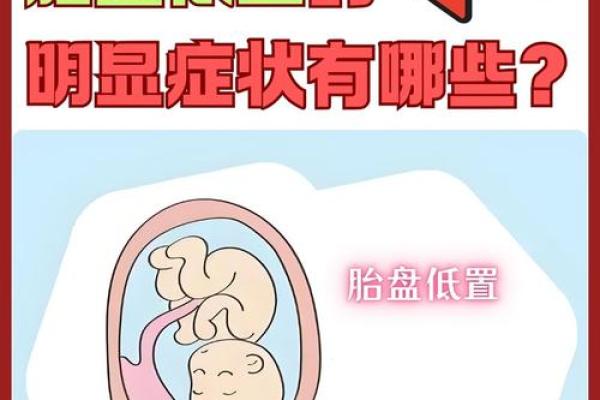 孕妇禁忌:揭秘风水对胎盘的影响,这些禁忌你了解吗? 孕妇禁忌:揭秘风水对胎盘的影响,这些禁忌你了解吗?