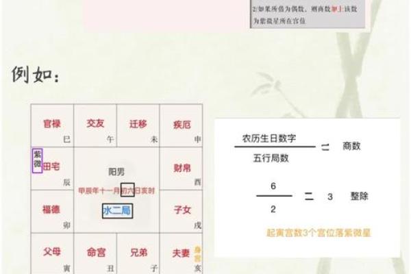 紫微斗数排盘规则解析，轻松掌握命运走向