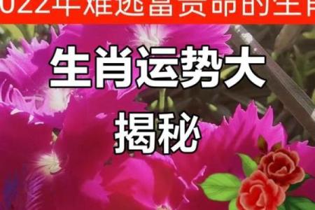 2023：木命年，财运亨通，事业腾飞
