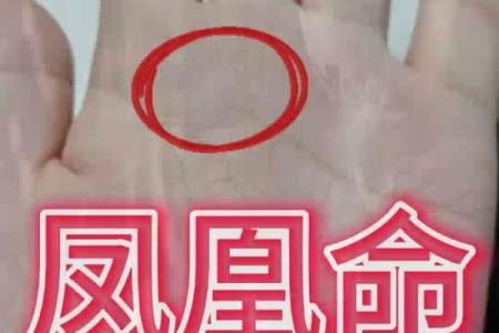 揭秘：凤尾纹手相女人运势大解析，手相奥秘一网打尽