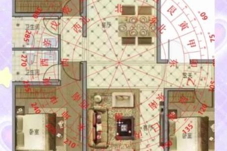 揭秘家居风水秘籍：让你的生活如鱼得水