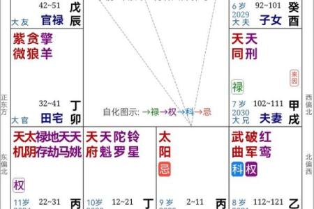 紫微斗数排盘规则解析，轻松掌握命运走向